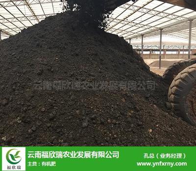 个旧微生物有机肥推荐 福欣瑞农业，创新研发引领绿色农业新篇章