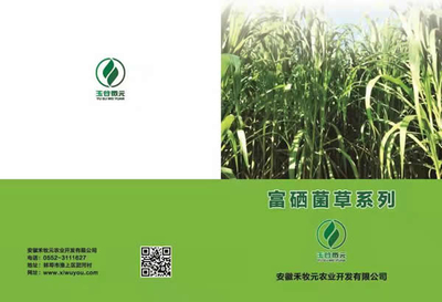 禾木元富硒菌种苗与生物有机肥料的创新研发