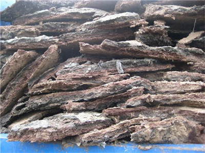 海南临高椰子种植专用生物有机肥的研发与应用前景