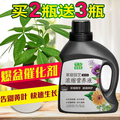 营养液、花肥料与生物有机肥 盆栽绿萝养护与未来肥料研发趋势