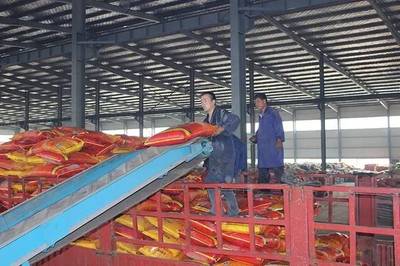 成长之星 | 源科生物 治理农业面源污染，从土壤修复开始——生物有机肥料研发之路